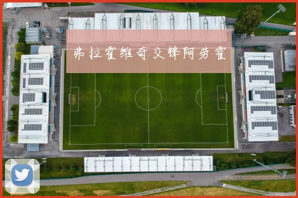 弗拉霍维奇交锋阿劳霍