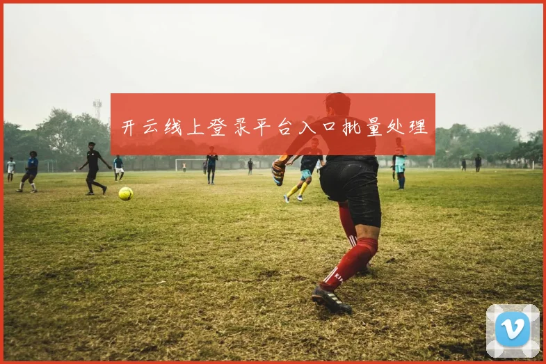 开云线上登录平台入口批量处理