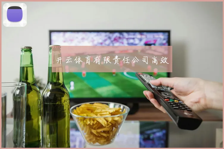 开云体育有限责任公司高效