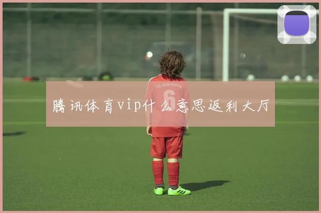 腾讯体育vip什么意思返利大厅