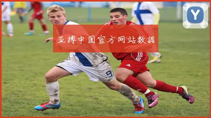 亚搏中国官方网站数据