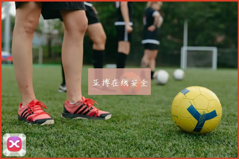 亚搏在线安全