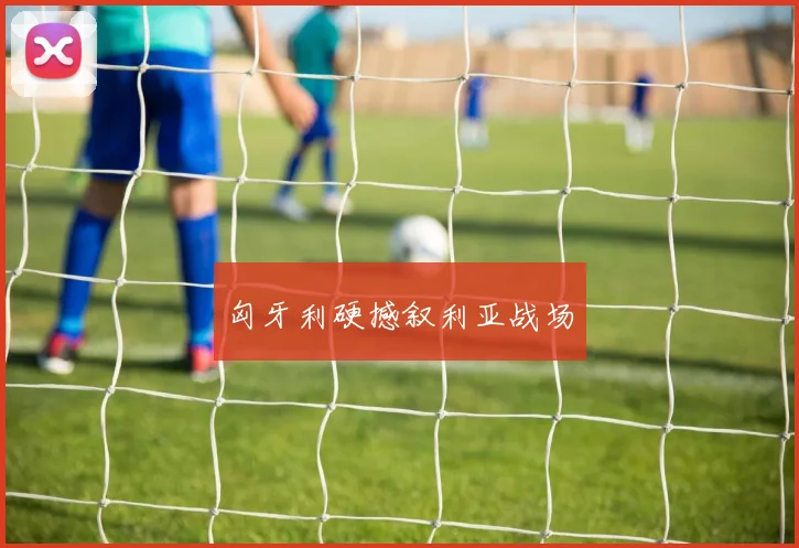 匈牙利硬撼叙利亚战场