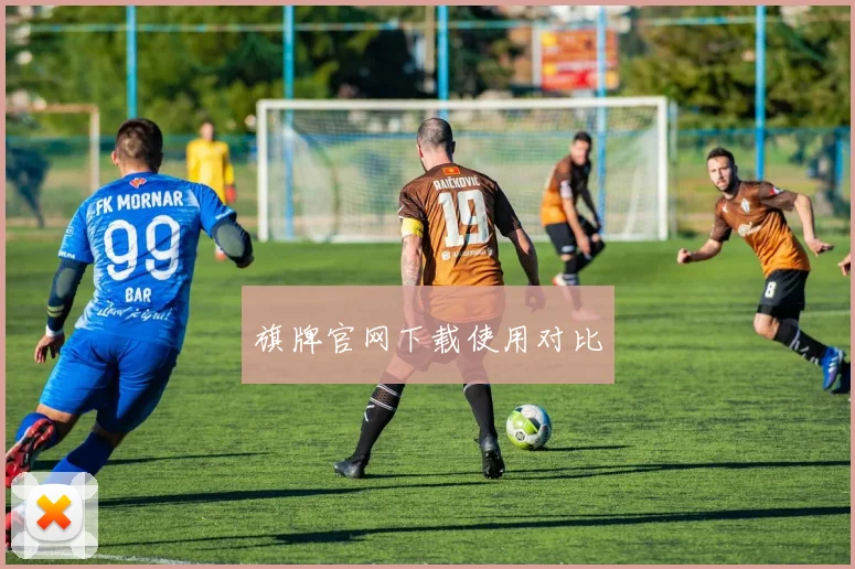 旗牌官网下载使用对比