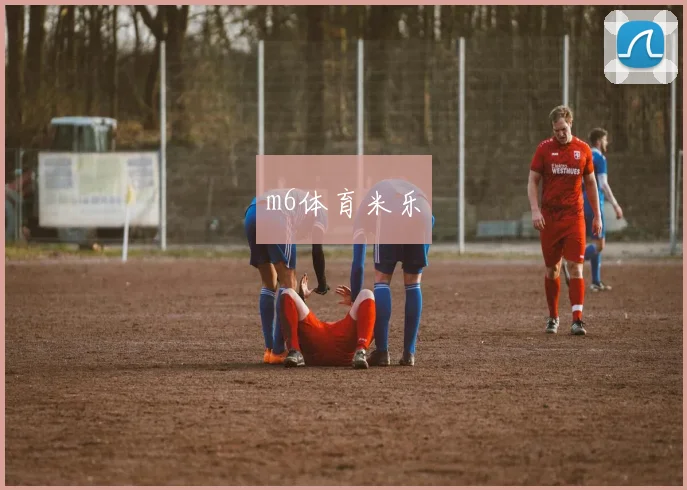 m6体育米乐