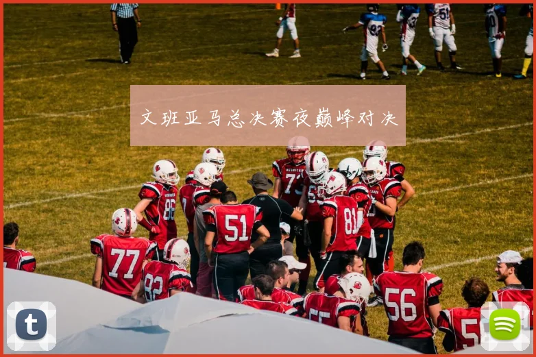 文班亚马总决赛夜巅峰对决