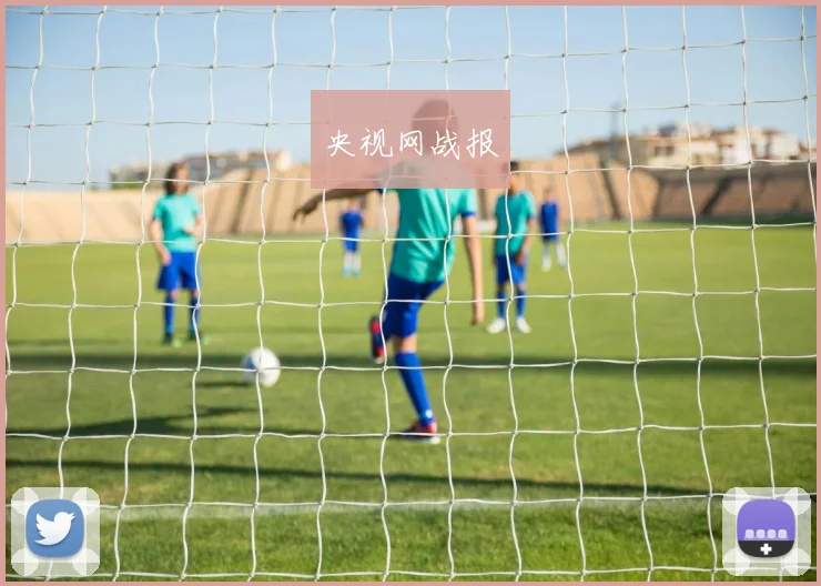 央视网战报