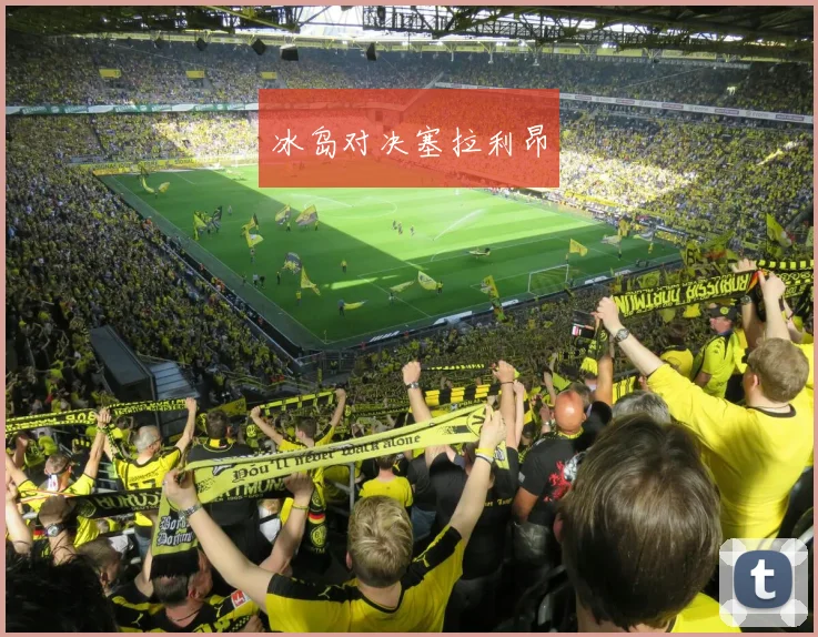 冰岛对决塞拉利昂