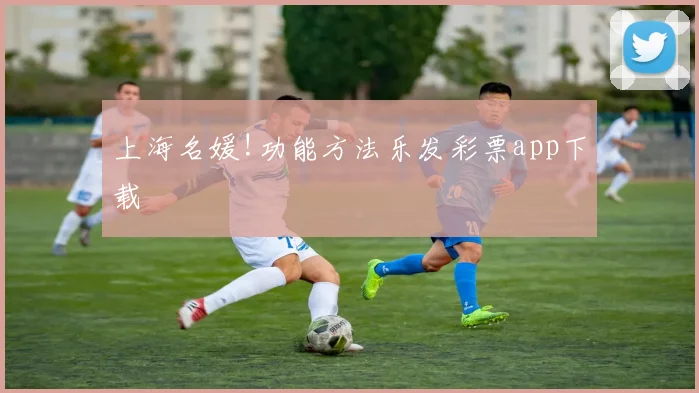 上海名媛!功能方法乐发彩票app下载