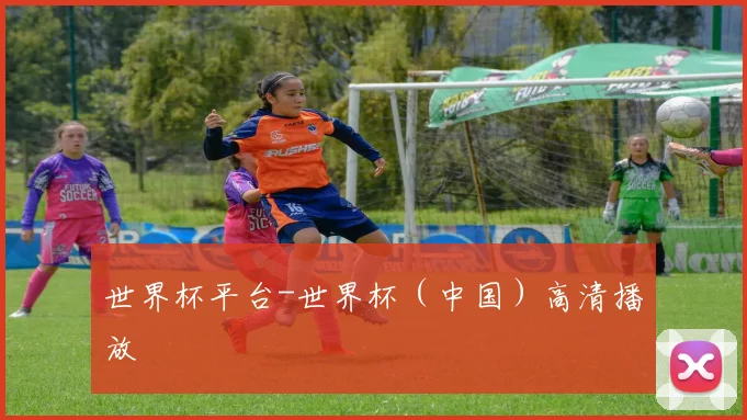 世界杯平台-世界杯（中国）高清播放