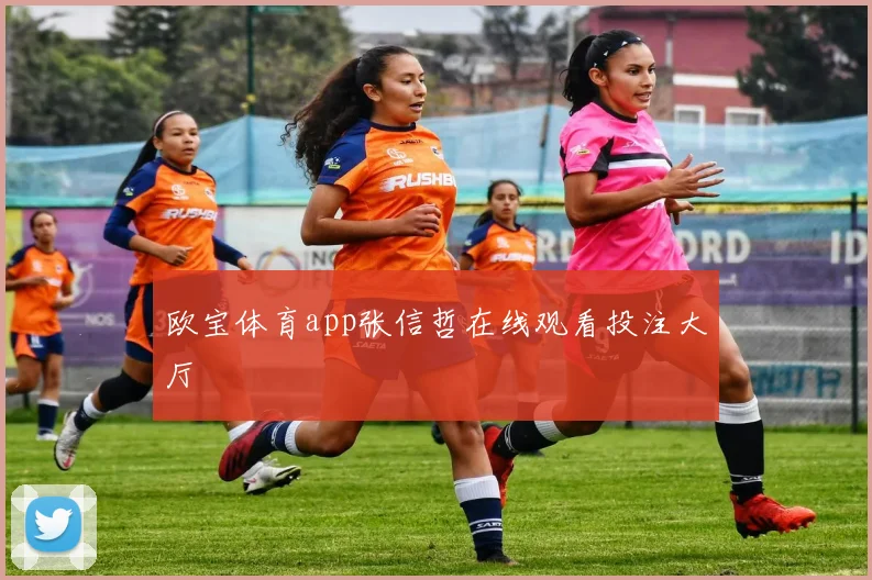 欧宝体育app张信哲在线观看投注大厅
