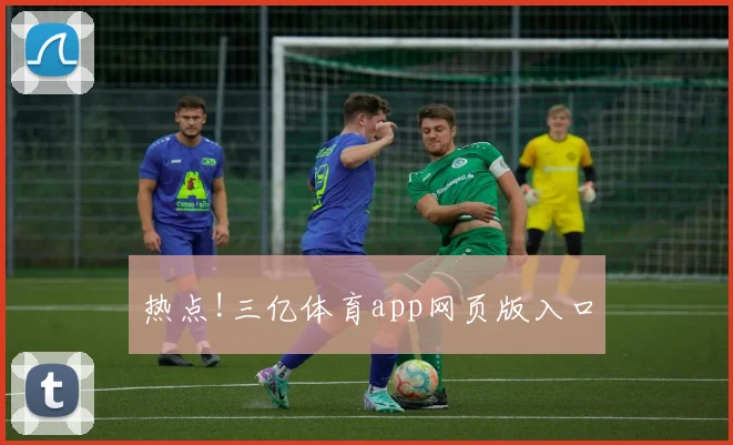 热点!三亿体育app网页版入口