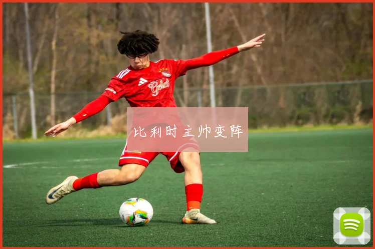 比利时主帅变阵
