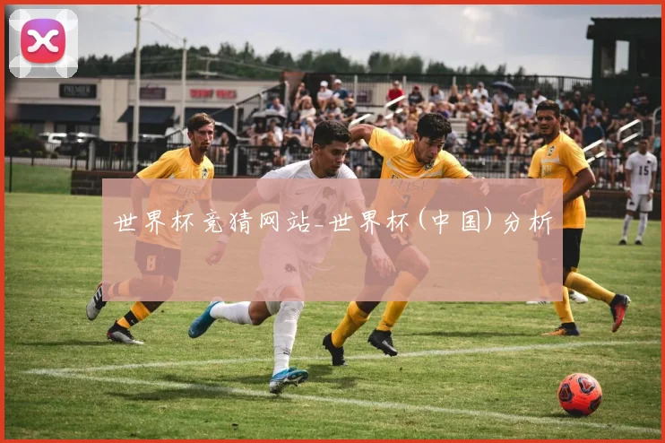 世界杯竞猜网站_世界杯(中国)分析