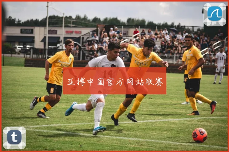 亚搏中国官方网站联赛