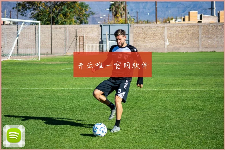 开云唯一官网软件
