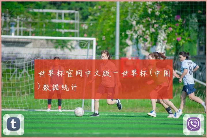 世界杯官网中文版 - 世界杯(中国)数据统计