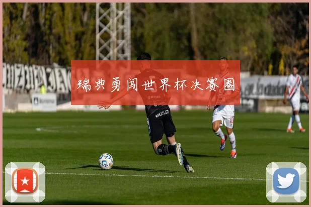 瑞典勇闯世界杯决赛圈