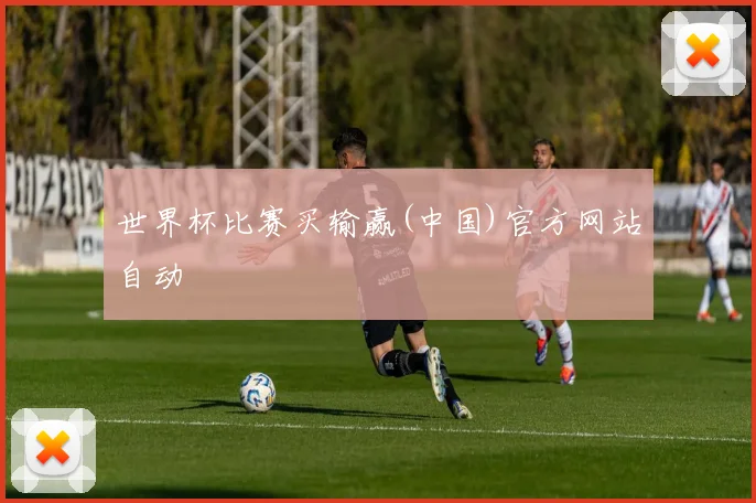 世界杯比赛买输赢(中国)官方网站自动
