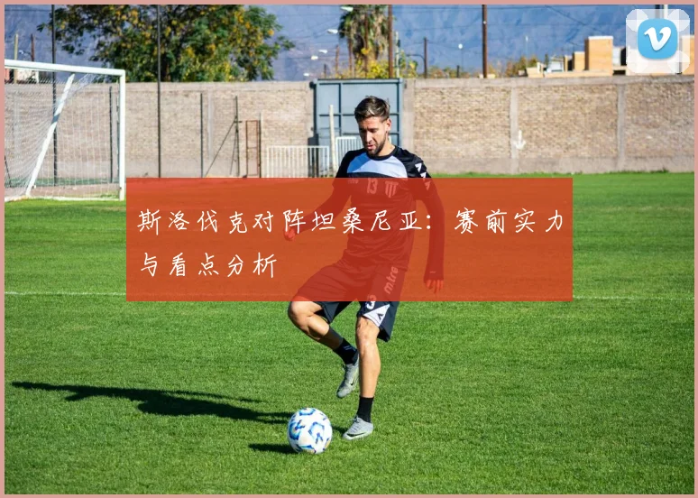 斯洛伐克对阵坦桑尼亚：赛前实力与看点分析