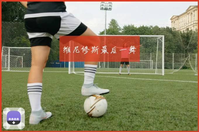 维尼修斯最后一舞