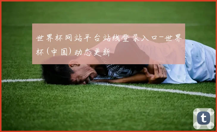 世界杯网站平台站线登录入口-世界杯(中国)动态更新