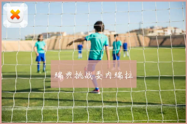 瑞典挑战委内瑞拉