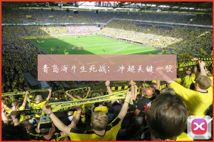 青岛海牛生死战：冲超关键一役