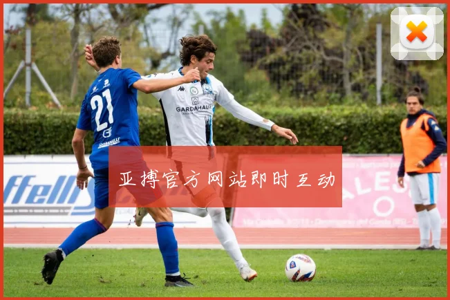 亚搏官方网站即时互动