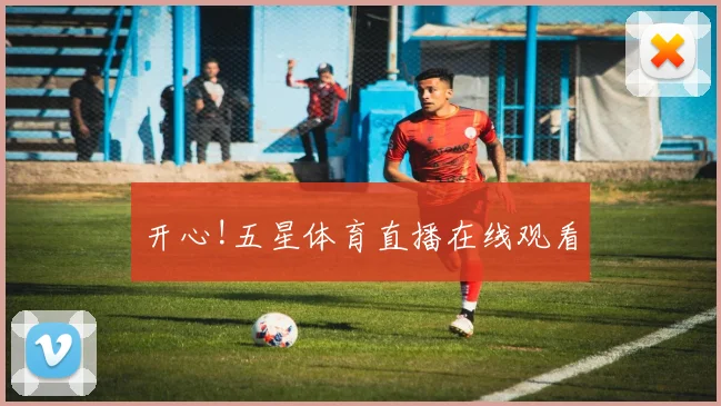 开心!五星体育直播在线观看