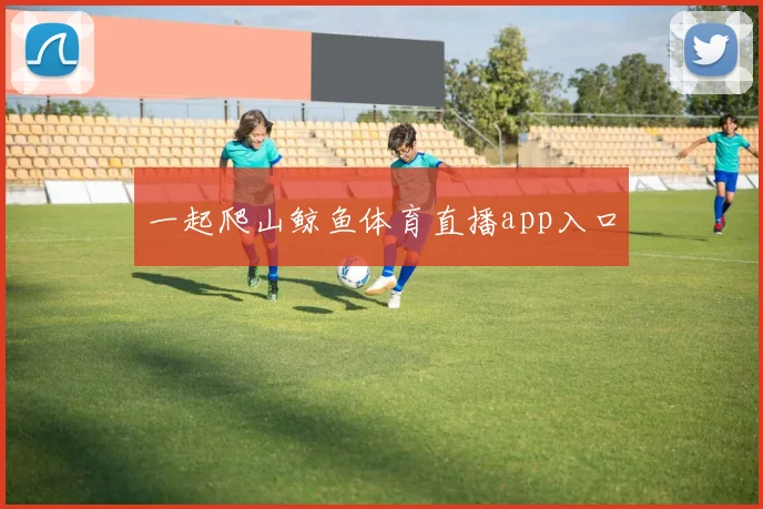 一起爬山鲸鱼体育直播app入口
