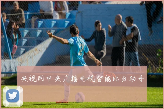 央视网中央广播电视智能比分助手