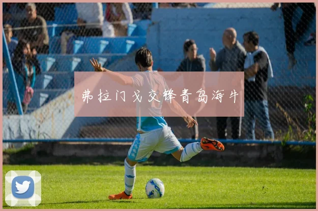 弗拉门戈交锋青岛海牛