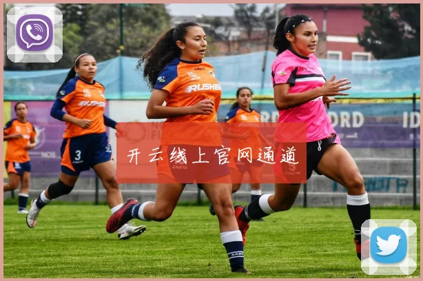 开云线上官网通道