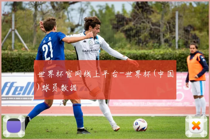 世界杯官网线上平台-世界杯(中国)球员数据
