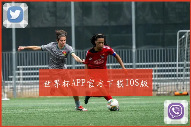 世界杯APP官方下载IOS版