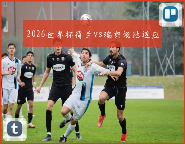 2026世界杯荷兰vs瑞典场地适应