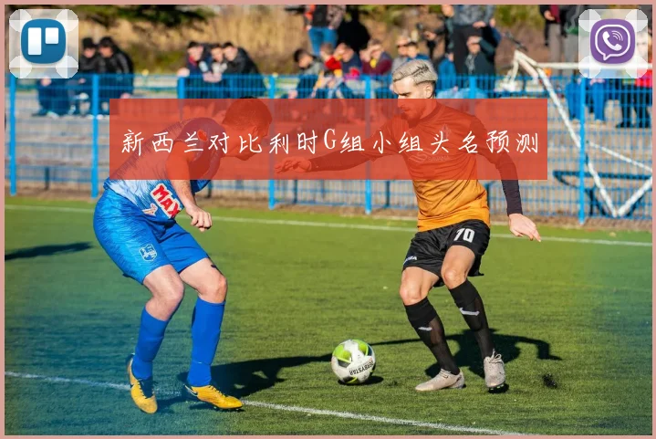 新西兰对比利时G组小组头名预测