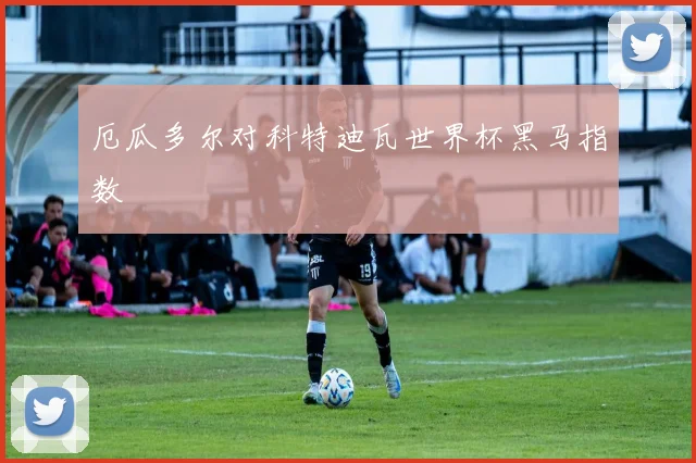 厄瓜多尔对科特迪瓦世界杯黑马指数