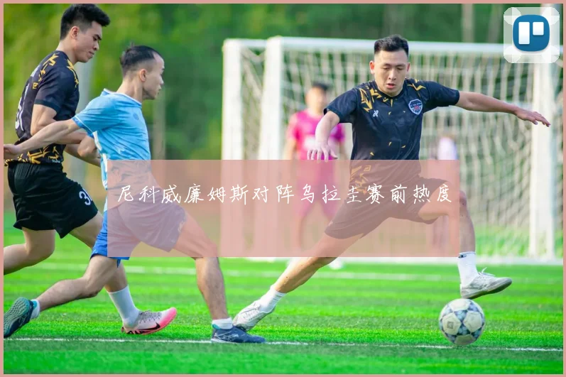 尼科威廉姆斯对阵乌拉圭赛前热度