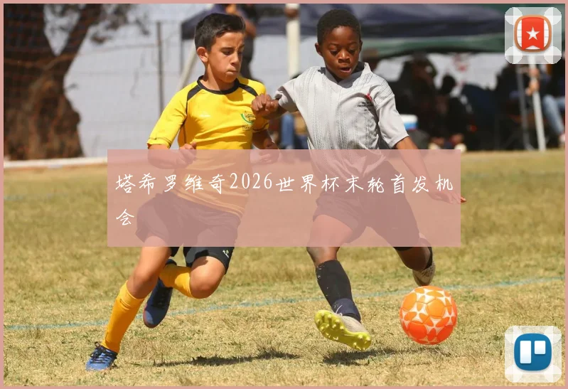 塔希罗维奇2026世界杯末轮首发机会