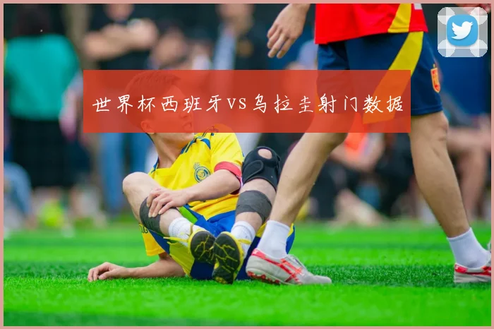 世界杯西班牙vs乌拉圭射门数据