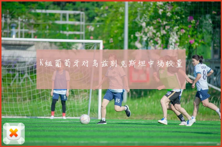 K组葡萄牙对乌兹别克斯坦中场较量