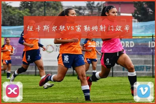 纽卡斯尔联vs富勒姆射门效率