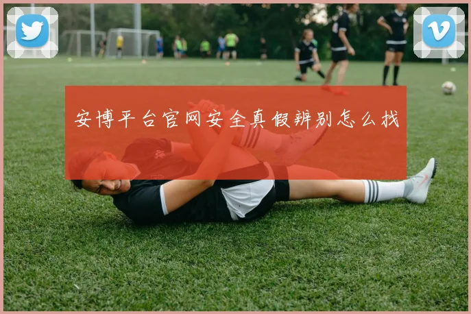 安博平台官网安全真假辨别怎么找